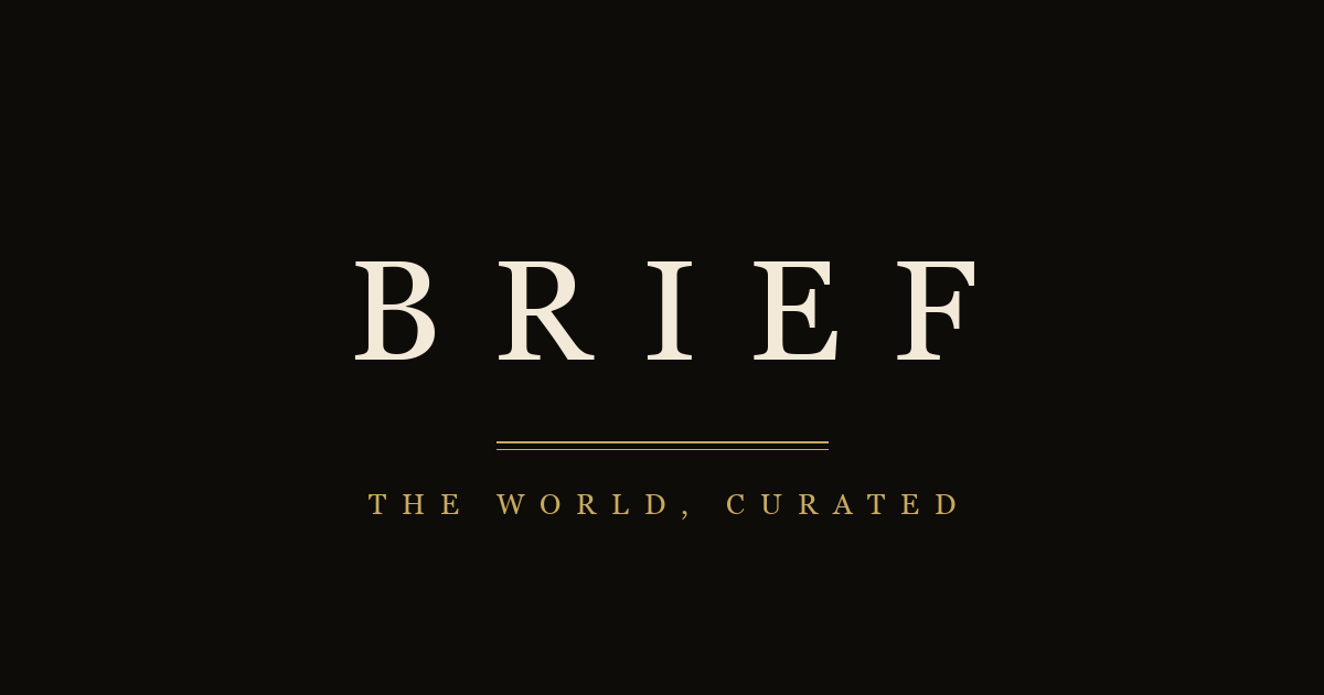 Brief