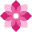 Oleander