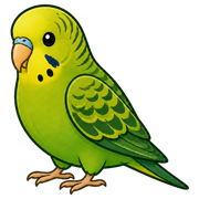 Parakeet.wgsl
