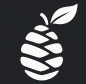 Safepine Studio